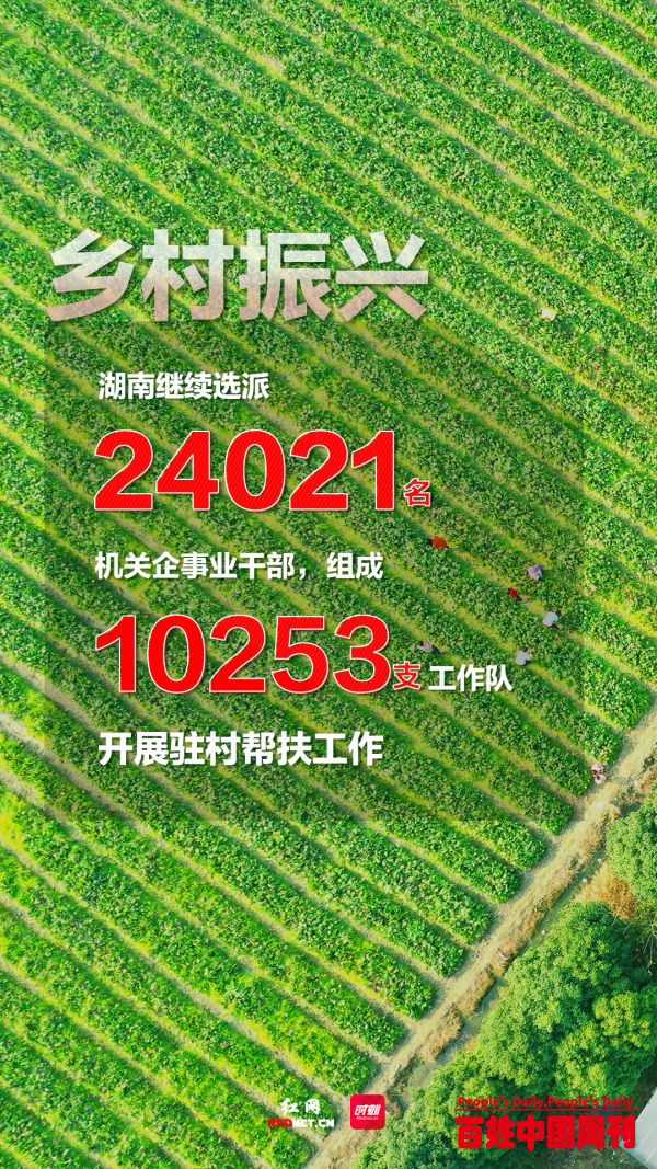 民有所呼，我有所应,不忘初心--在乡村振兴一线书写新的荣光