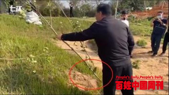 中纪委：弄虚作假、糊弄中央、糊弄群众，后果很严重