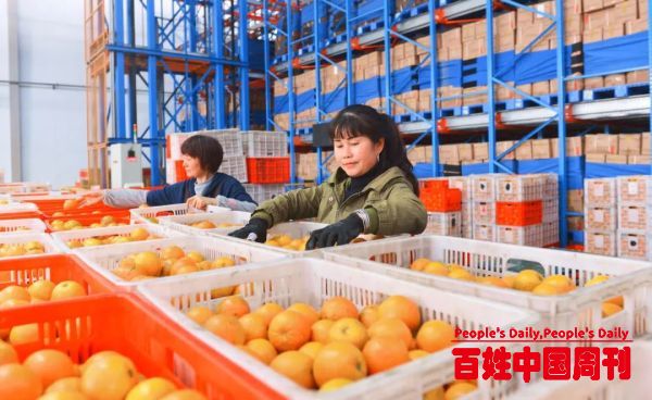 四部门发文，继续实施政府采购脱贫地区农副产品