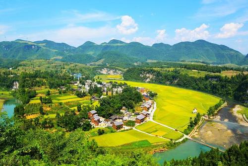 沈建波：以乡村全面振兴助力农业农村现代化