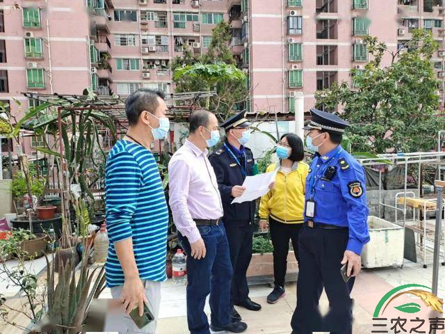 广州海珠江南中街道：拆违之后当事人说：“理解你们的工作”