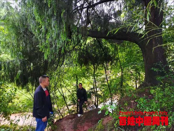 湖南芷江禾梨坳：“红色学堂湾”旅游资源调查“摸家底”