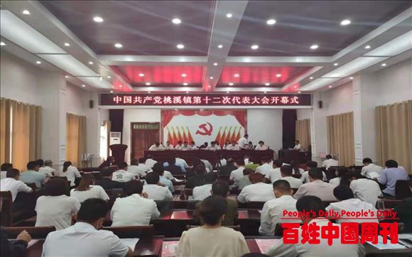 河南内乡：中共桃溪镇第十二次代表大会胜利召开