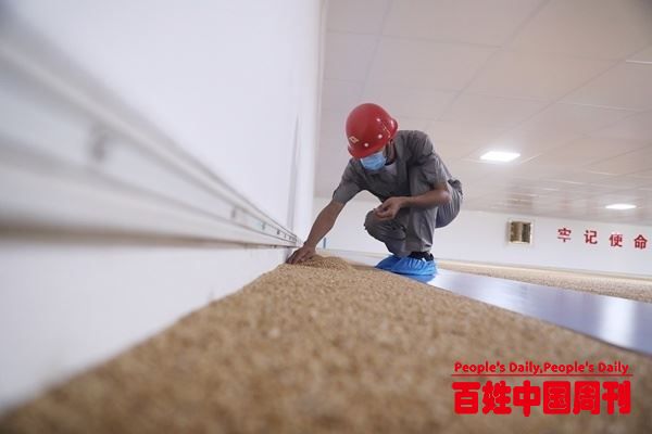 国家粮食和物资储备局：多措并举推进节粮减损