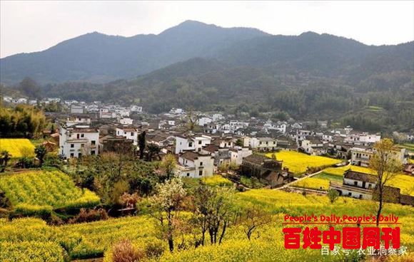 6月1日开始实施！《乡村振兴促进法》将会影响我们的方方面面