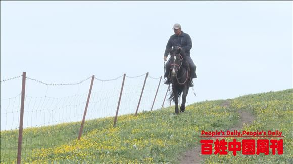 新疆特克斯县：草原“复苏”牧民受益