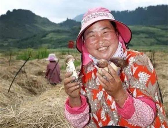 中国农大发布“农货新消费报告”：2021年农产品线上零售额将达8千亿