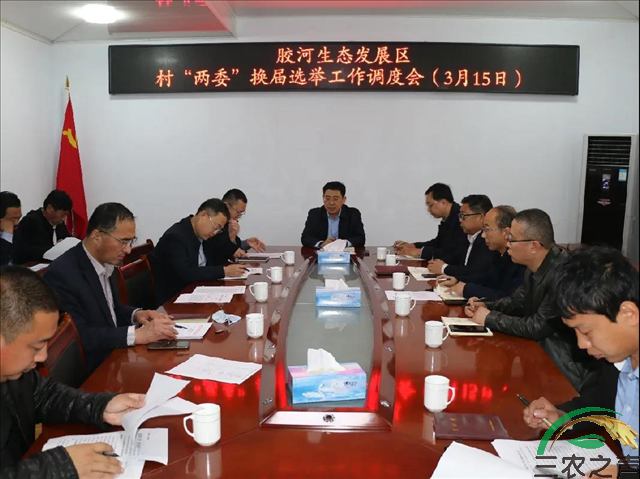 胶河社区落实“三到位”，把好“三道关”，换届选举高质量“答卷”