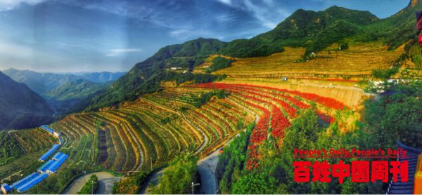 国家以工代赈巩固脱贫成果衔接乡村振兴试点工作取得明显成效