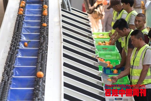 菜鸟今年将打造20个助农样本专家：重投入解决乡村振兴核心问题