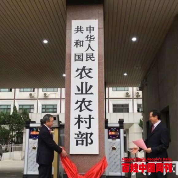 “我的家乡”平台：网聚社会力量，赋能乡村振兴
