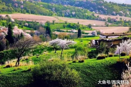 新疆乡村旅游让游客“有看头、有玩头、有念头”