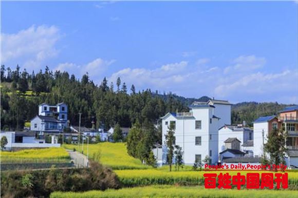 乡村振兴补助资金已下达!民法典：农村将有7个新补助项目快了解