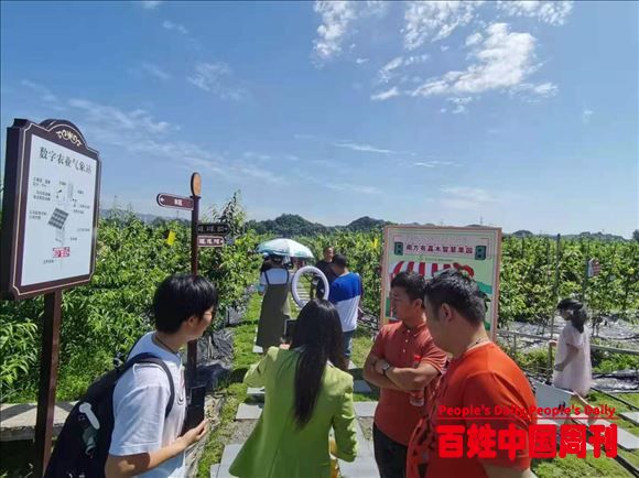 湖南芷江县“数字化”赋能乡村振兴