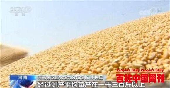 全国多地迎来夏粮丰收季 各地抢抓农时大小机械齐上阵