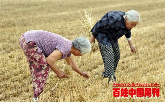 农村娃，你还记得小时候拾麦穗换西瓜吗？过去的岁月还记得吗？