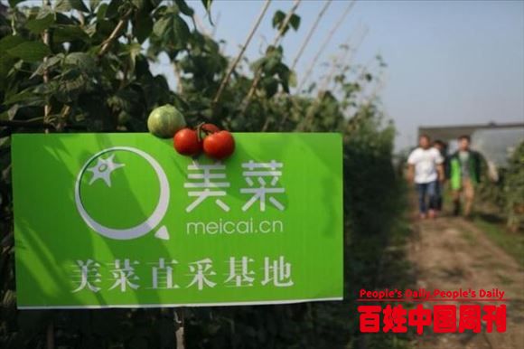 美菜入驻社会扶贫网“消费扶贫专区” 成电商扶贫“尖子生”
