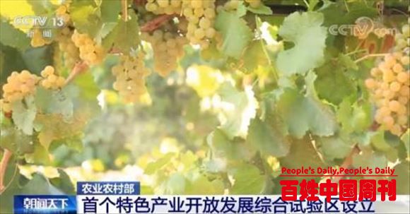 农业农村部：全国首个特色产业开放发展综合试验区在宁夏设立
