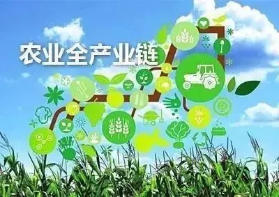 农业农村部：将加大力度推进实施农业产业融合发展项目
