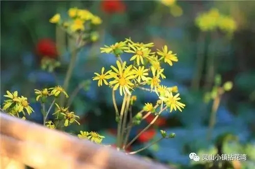 河北沧州:听证会上6年没有笑的他哭着哭着笑了