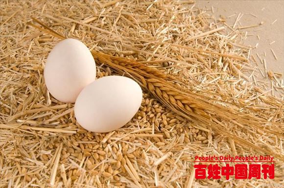 小麦市场供需或“前紧后松” ，建议做好风控管理