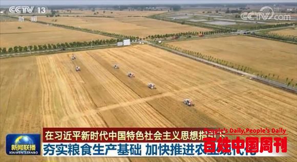 夯实粮食生产基础 加快推进农业现代化