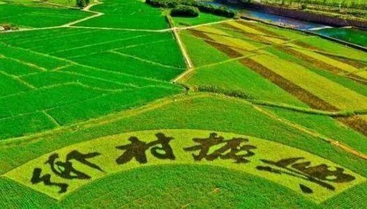 农业农村部举办乡村振兴促进法辅导报告会
