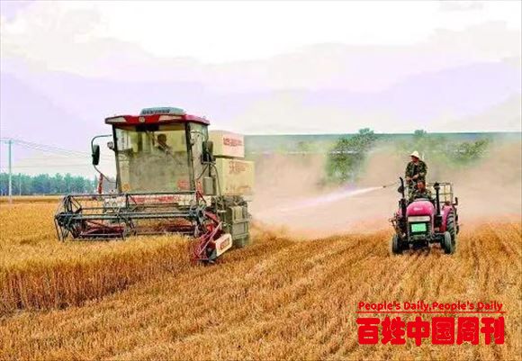 好吧邢台：农民割麦需花钱喷淋降尘？官方回应