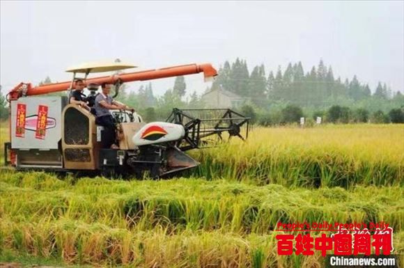 华容建成高标准农田14万多亩 农田综合生产能力显著提升