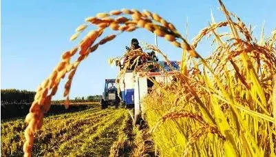 农业农村部办公厅关于印发农业科研诚信建设规范十条的通知