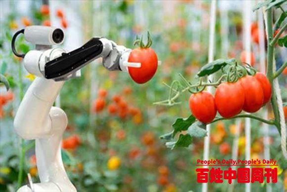 农业500强企业公布广东入围1家，四川61家，第一会是产粮大省吗