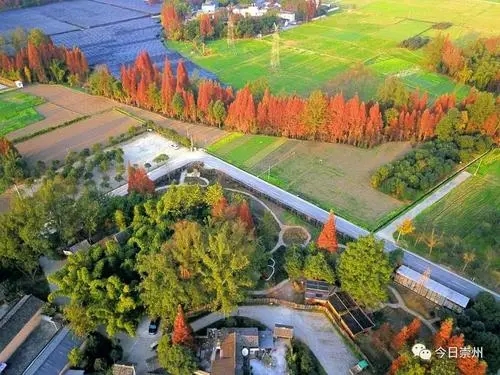 资源化利用新思路，温氏一技术入选2021年广东省农业主推技术