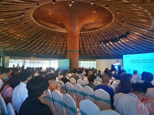 盘活乡村闲置资源 崇州发布投资需求清单