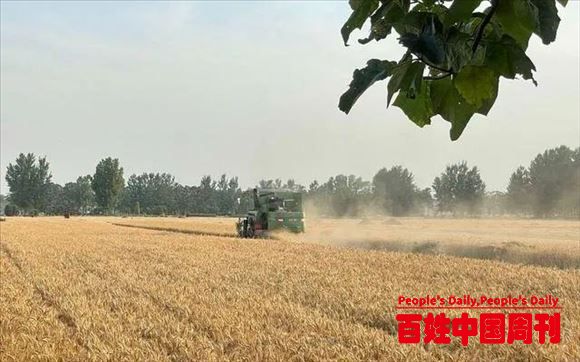 割麦扬尘污染环境？看世界各国如何治理