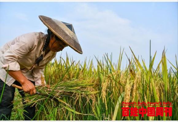 国务院：根据农资价格上涨情况中央财政安排200亿元资金，对实际种粮农民一次性发放补贴