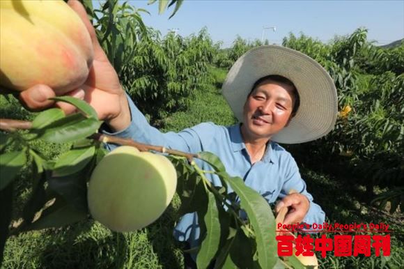 高质量农产品上行-推动消费升级、农业现代化正向循环
