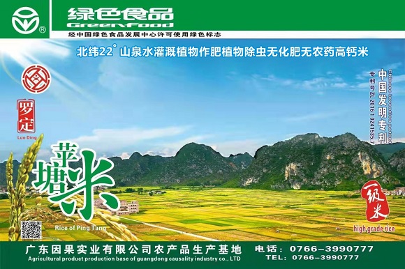 北纬22°山泉水灌溉天然高钙苹塘米——“粒粒如玉 绿色健康”