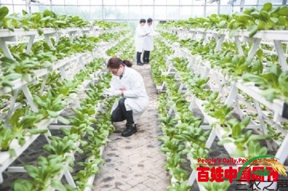河南省新乡县 “三有”模式撬动乡村振兴