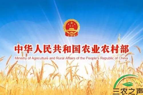 农业农村部 工业和信息化部 公安部 交通运输部 海关总署 市场监管总局 中国海警局 关于加强涉渔船舶审批修造检验监管工作的意见
