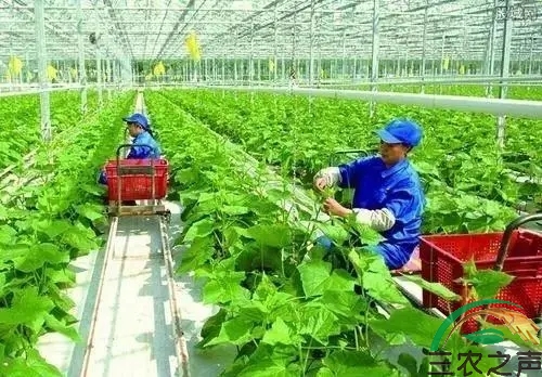 农业农村部关于拓展农业多种功能促进乡村产业高质量发展的指导意见