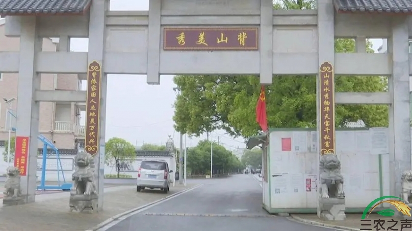 南昌县：推进“三风”进乡村行动打造乡村振兴响亮品牌