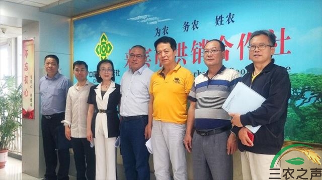 广西贸促通商贸有限公司与来宾市供销合作社项目洽谈会顺利举行