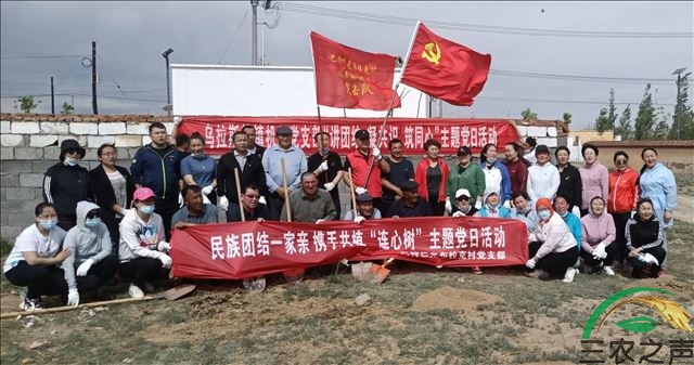新疆吉木乃县乌拉斯特镇开展“民族团结一家亲”携手共植“连心树”主题党日活动