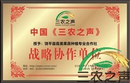 饶平县霞美果蔬种植专业合作社简介