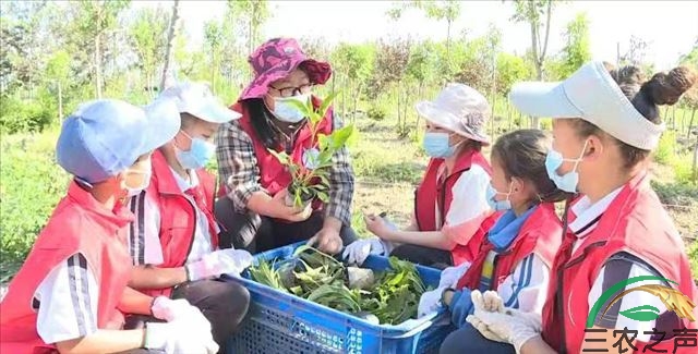 新疆奎屯：让学生亲近自然探索植物生长的奥秘