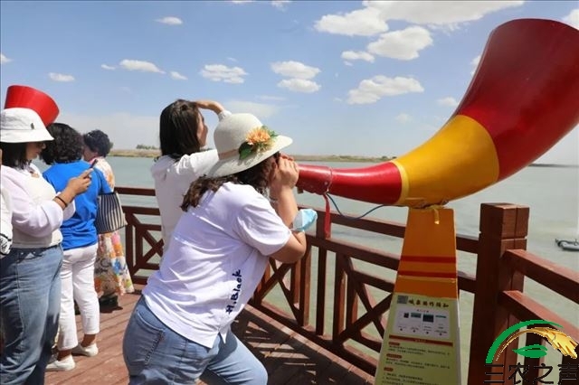 新疆岳普湖：端午小长假游客在达瓦昆景区玩出新花样
