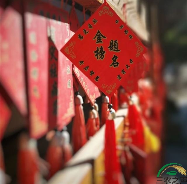 全民健康大讲堂：6月7日，2022年全国高考正式拉开帷幕