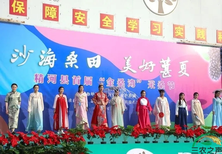 新疆精河县“沙海桑田·美好葚夏”首届“金桑湾”采桑节盛大开幕