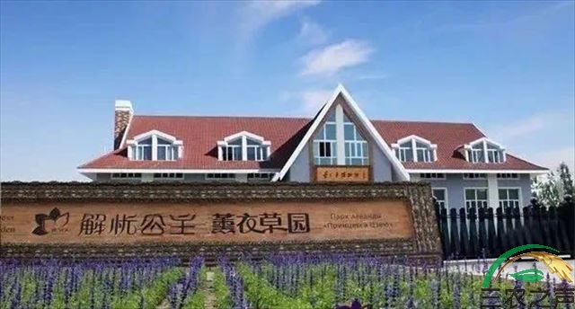 新疆霍城：发展特色产业助推乡村振兴