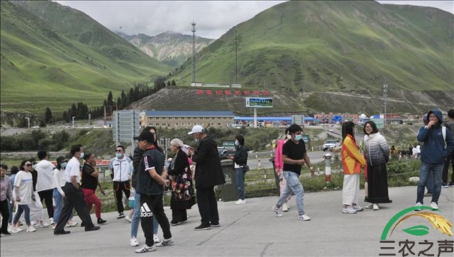 新疆尼勒克：百里画卷唐布拉掀起夏季旅游热潮